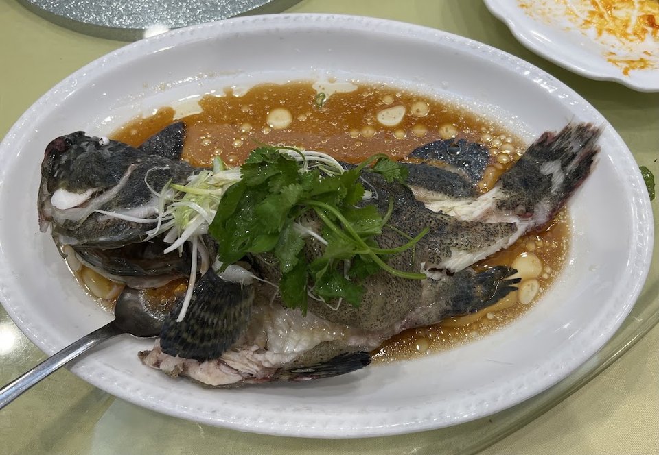 Steamed Fish